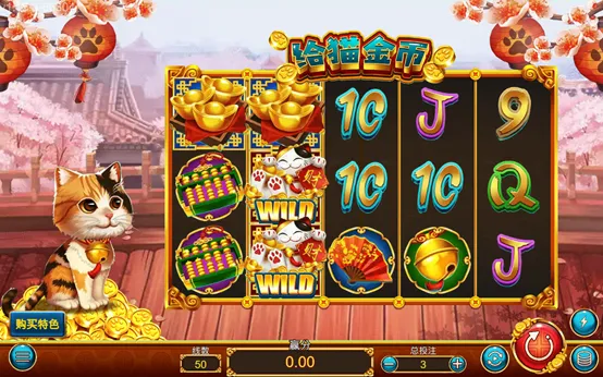 給貓金幣